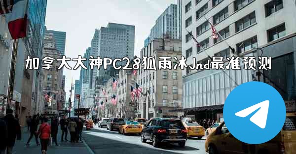 加拿大大神PC28狐雨冰Jnd最准预测