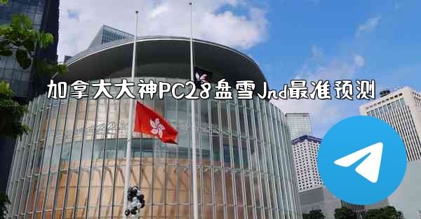 加拿大大神PC28盘雪Jnd最准预测