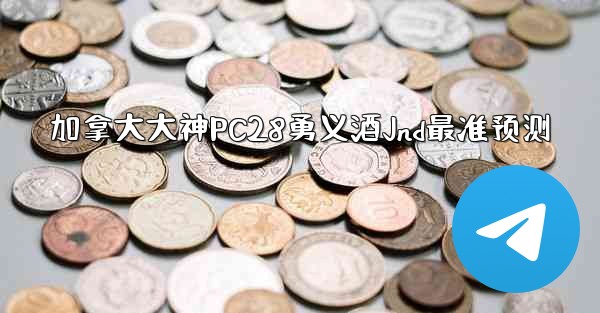 加拿大大神PC28勇义酒Jnd最准预测