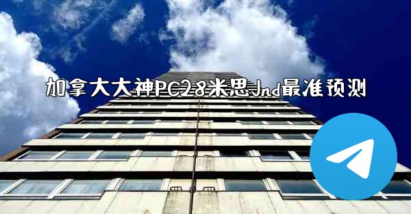 加拿大大神PC28米思Jnd最准预测