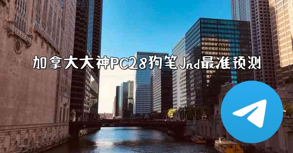 加拿大大神PC28狗笔Jnd最准预测