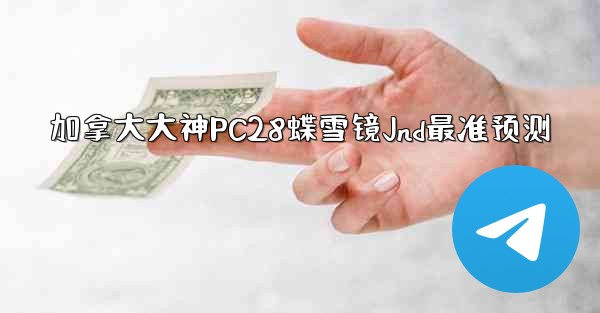 加拿大大神PC28蝶雪镜Jnd最准预测