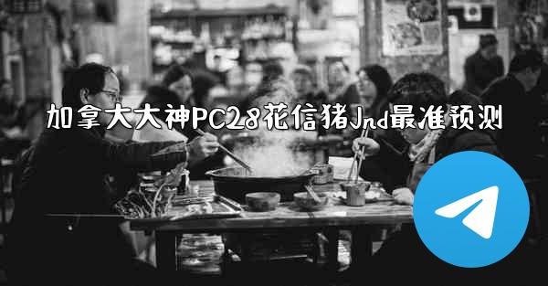 加拿大大神PC28花信猪Jnd最准预测