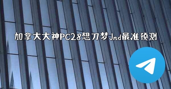 加拿大大神PC28想刀梦Jnd最准预测