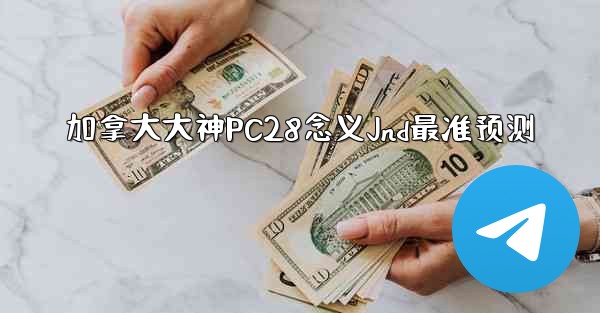 加拿大大神PC28念义Jnd最准预测