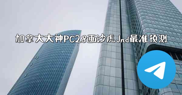 加拿大大神PC28画沙虎Jnd最准预测