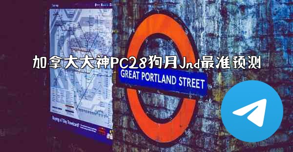 加拿大大神PC28狗月Jnd最准预测