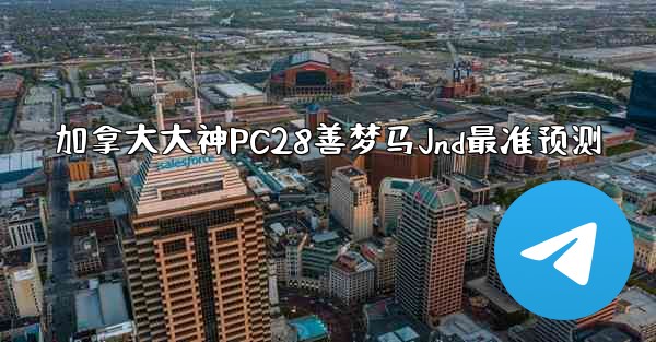 加拿大大神PC28善梦马Jnd最准预测