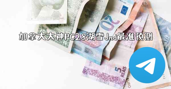 加拿大大神PC28湖雪Jnd最准预测