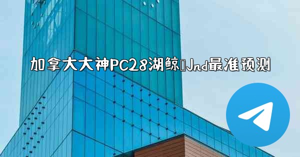 加拿大大神PC28湖鲸鹅Jnd最准预测