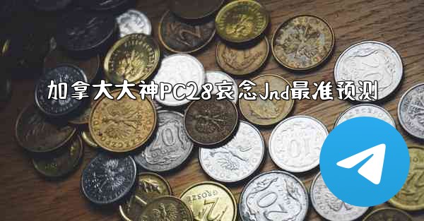 加拿大大神PC28哀念Jnd最准预测