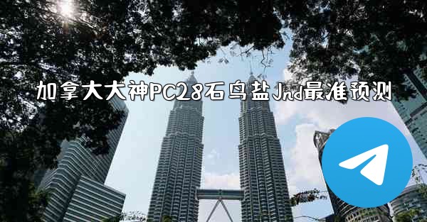 加拿大大神PC28石鸟盐Jnd最准预测