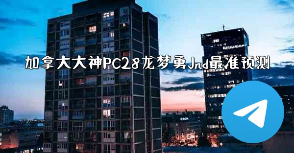 加拿大大神PC28龙梦勇Jnd最准预测