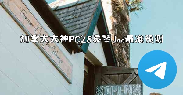 加拿大大神PC28象琴Jnd最准预测