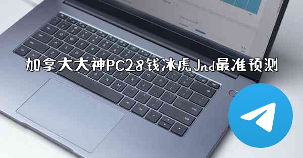 <b>加拿大大神PC28钱冰虎Jnd最准预测</b>