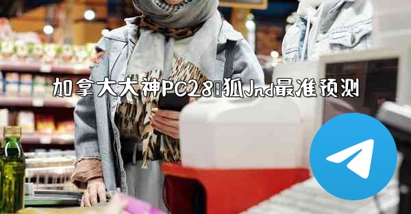 <b>加拿大大神PC28鸭狐Jnd最准预测</b>