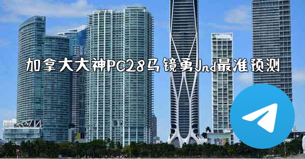 加拿大大神PC28马镜勇Jnd最准预测