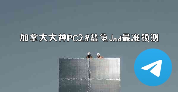 加拿大大神PC28盐龟Jnd最准预测