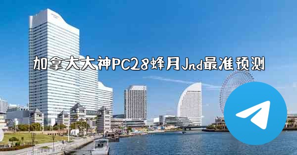 加拿大大神PC28蜂月Jnd最准预测