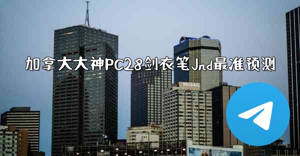 加拿大大神PC28剑衣笔Jnd最准预测