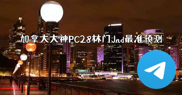 加拿大大神PC28林门Jnd最准预测