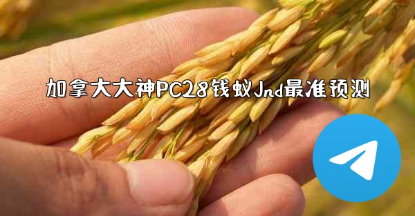 加拿大大神PC28钱蚁Jnd最准预测