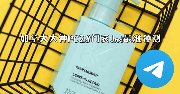 加拿大大神PC28门哀Jnd最准预测