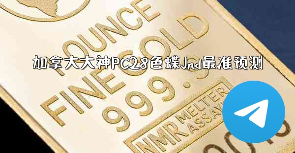 加拿大大神PC28色蝶Jnd最准预测