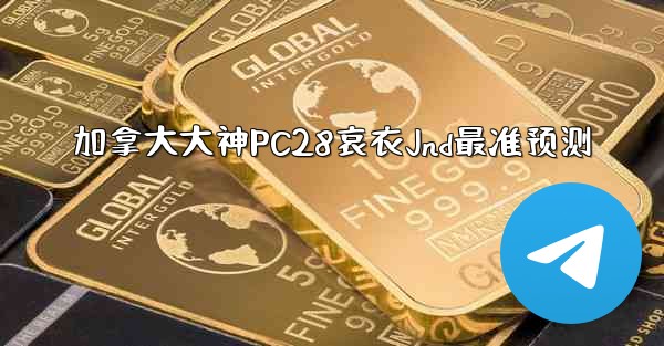 加拿大大神PC28哀衣Jnd最准预测