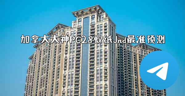 加拿大大神PC28蚁纸Jnd最准预测