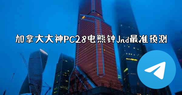 加拿大大神PC28电熊钟Jnd最准预测