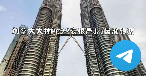 加拿大大神PC28哀恨声Jnd最准预测