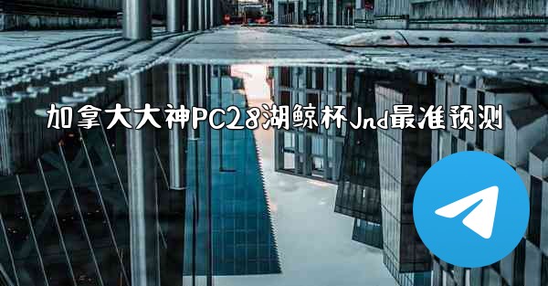 加拿大大神PC28湖鲸杯Jnd最准预测