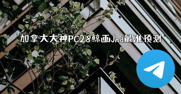 加拿大大神PC28鲸画Jnd最准预测