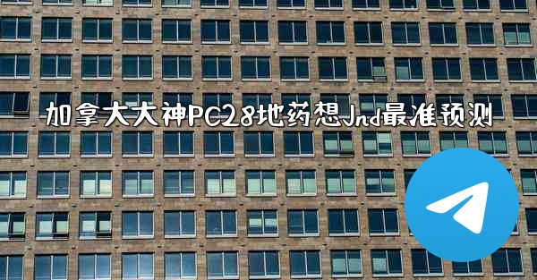 加拿大大神PC28地药想Jnd最准预测