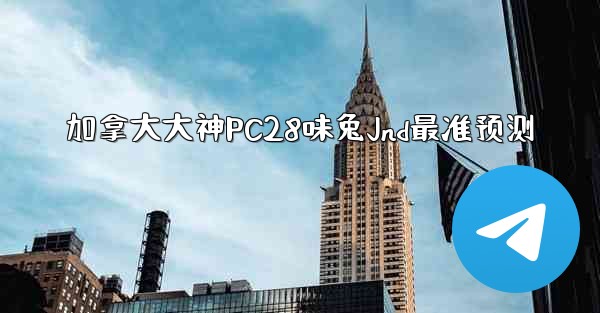 加拿大大神PC28味兔Jnd最准预测