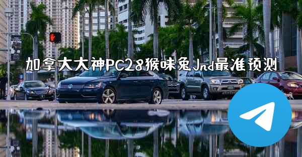 加拿大大神PC28猴味兔Jnd最准预测