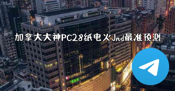 加拿大大神PC28纸电火Jnd最准预测