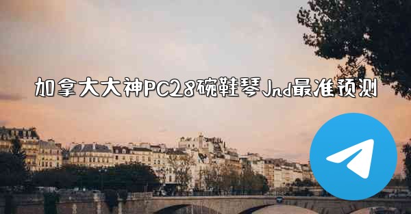 加拿大大神PC28碗鞋琴Jnd最准预测
