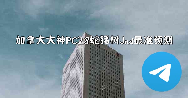 加拿大大神PC28蛇猪树Jnd最准预测