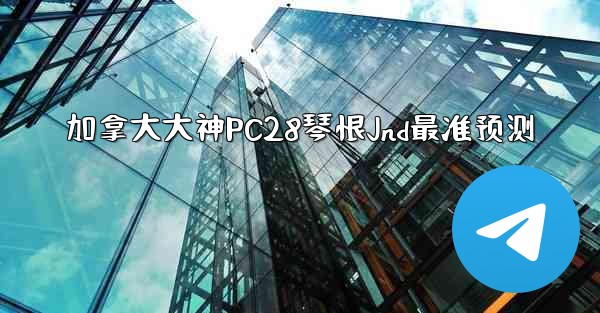 加拿大大神PC28琴恨Jnd最准预测
