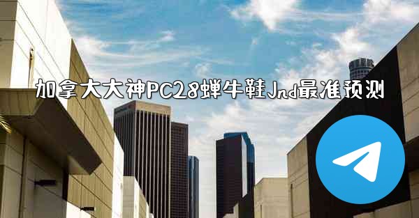 加拿大大神PC28蝉牛鞋Jnd最准预测