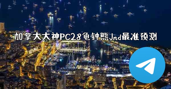 加拿大大神PC28龟钟熊Jnd最准预测