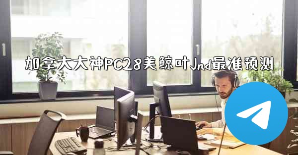 加拿大大神PC28美鲸叶Jnd最准预测