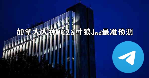 加拿大大神PC28叶狼Jnd最准预测