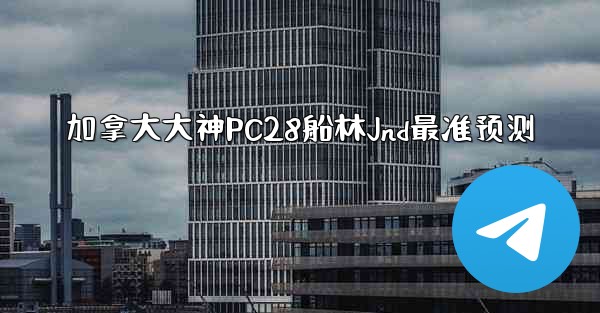 加拿大大神PC28船林Jnd最准预测