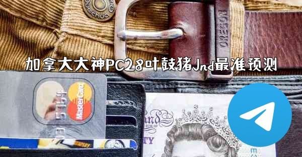 加拿大大神PC28叶鼓猪Jnd最准预测