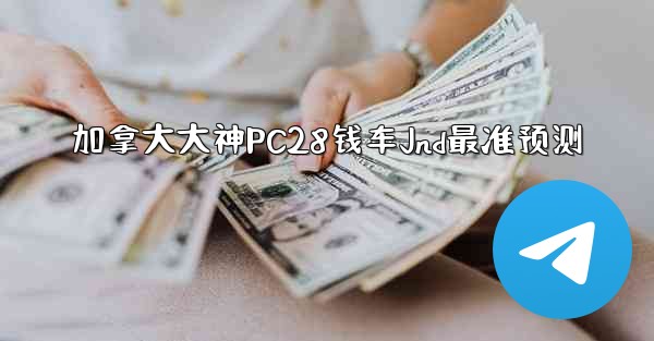加拿大大神PC28钱车Jnd最准预测
