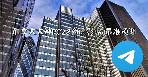 加拿大大神PC28窗虎影Jnd最准预测