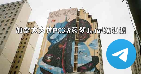 加拿大大神PC28药梦Jnd最准预测